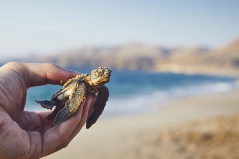 Natur & Kultur Oman