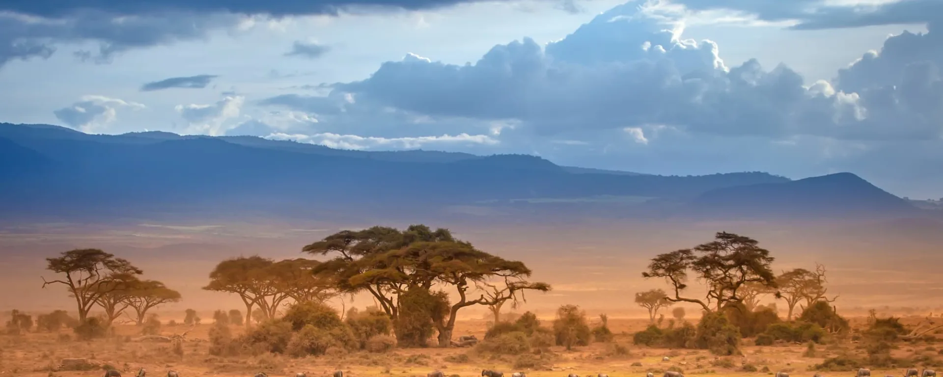Kenia entdecken mit Tischler Reisen: 3ke-African-Savannah-Mount-Kilimanjaro-as-2025-169701927-Grispb