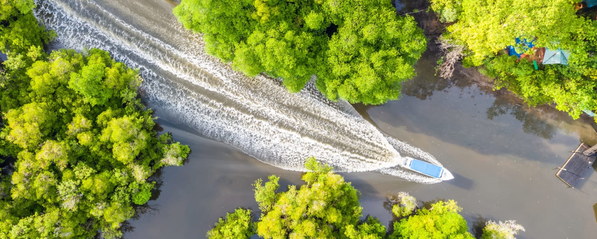 Malaysia entdecken mit Tischler Reisen: Malaysia Sepilok Sabah