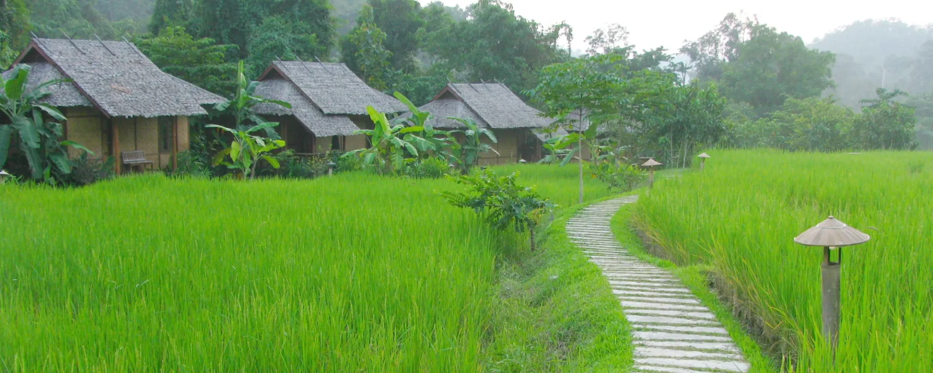 Fern Resort in Mae Hong Son: Mae Hong Son Fern Resort