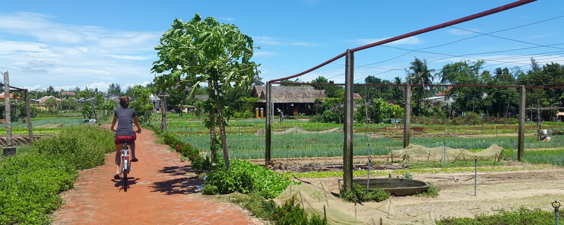 Ländliches Hoi An mit dem Rad, DE, Halbtägig: Vietnam Ländliches Hoi An