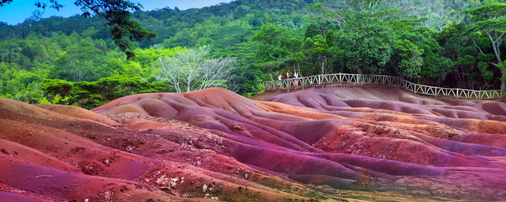 Mauritius entdecken mit Tischler Reisen: Mauritius Chamarel Siebenfarbige Erde