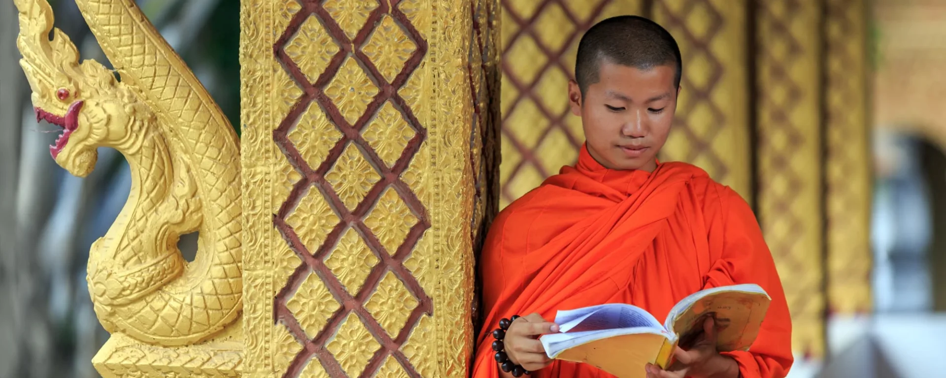 Klassisches Laos ab Luang Prabang: Laos Junger Mönch