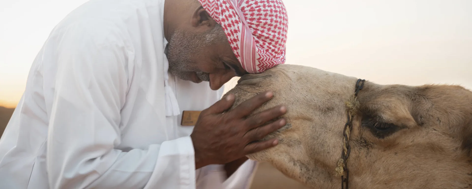 Expedition Wüste: Nord ab Muscat: Oman Wüste Canvas Club