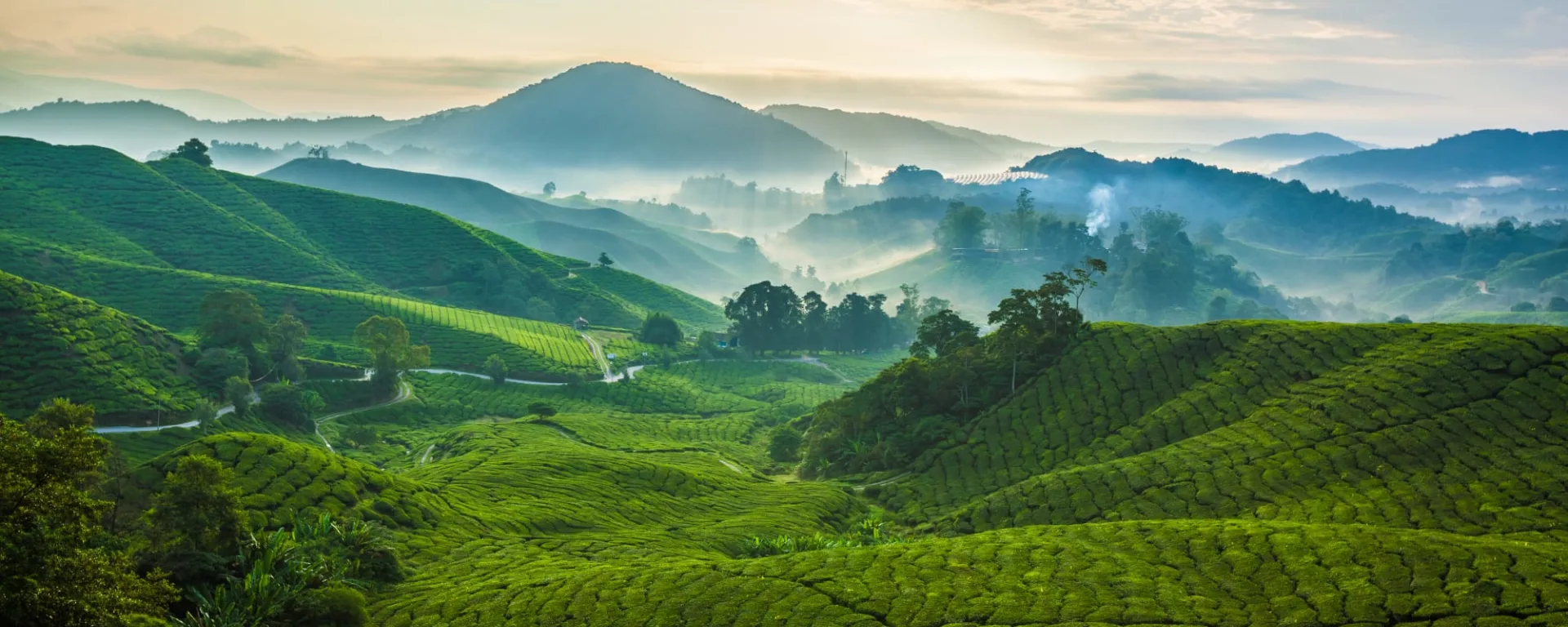 Überland von Kuala Lumpur bis Penang: Malaysia Cameron Highlands