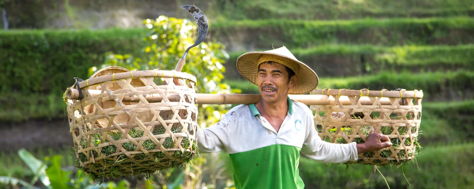 Zauberhaftes Sidemen ab Zentral-Bali | Ubud: Indonesien Bali Reisbauer