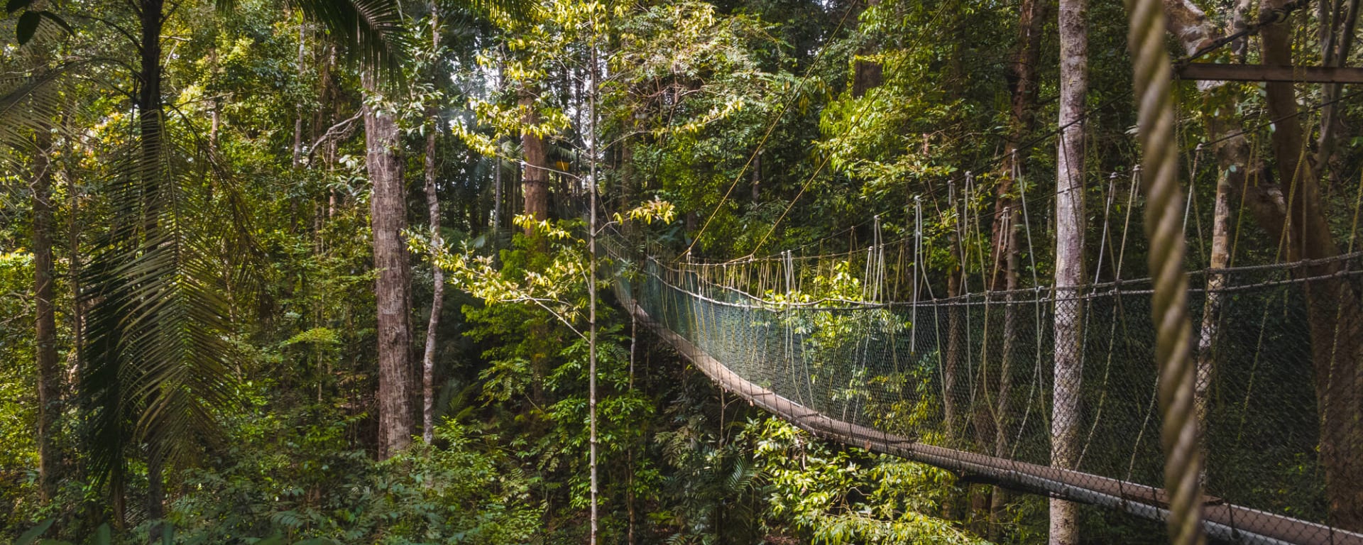 Taman Negara Erlebnistour ab Kuala Lumpur: Malaysia Taman Negara