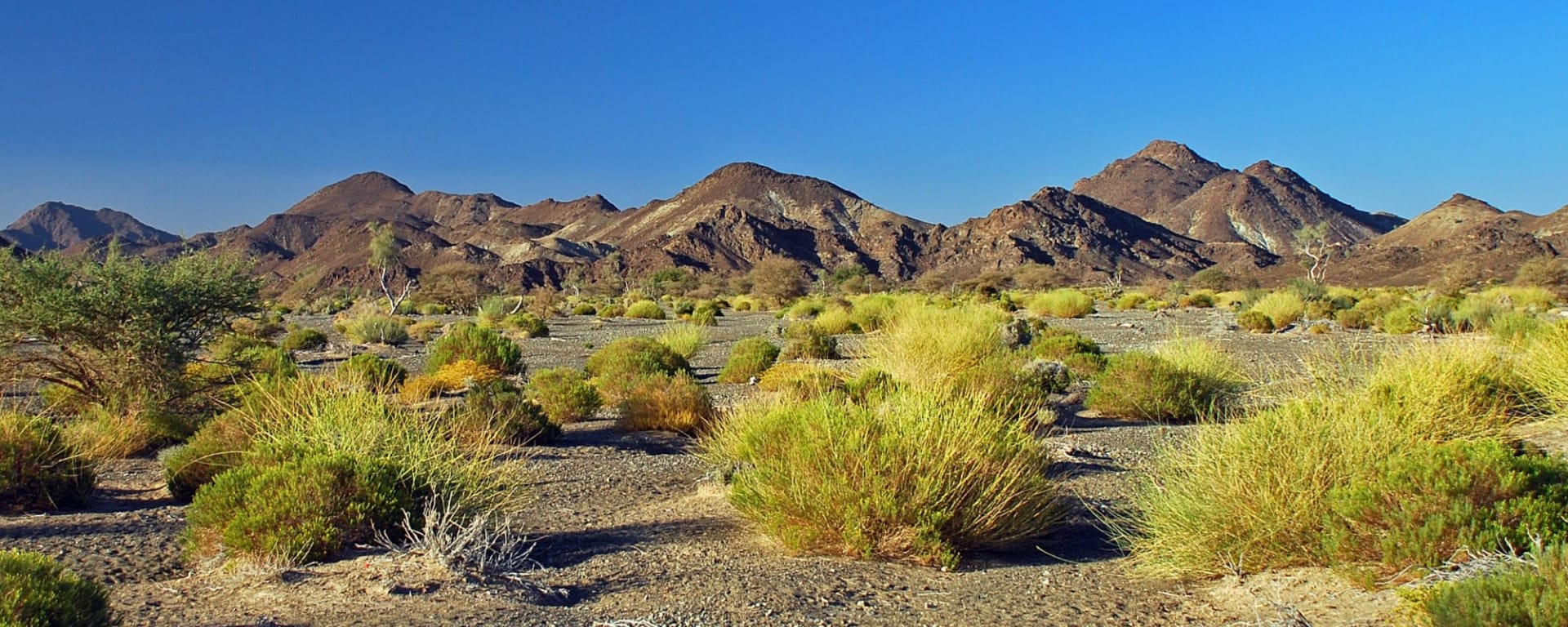 Abenteuer Dhofar - Küste & Wüste ab Salalah: Oman Rub al Khali