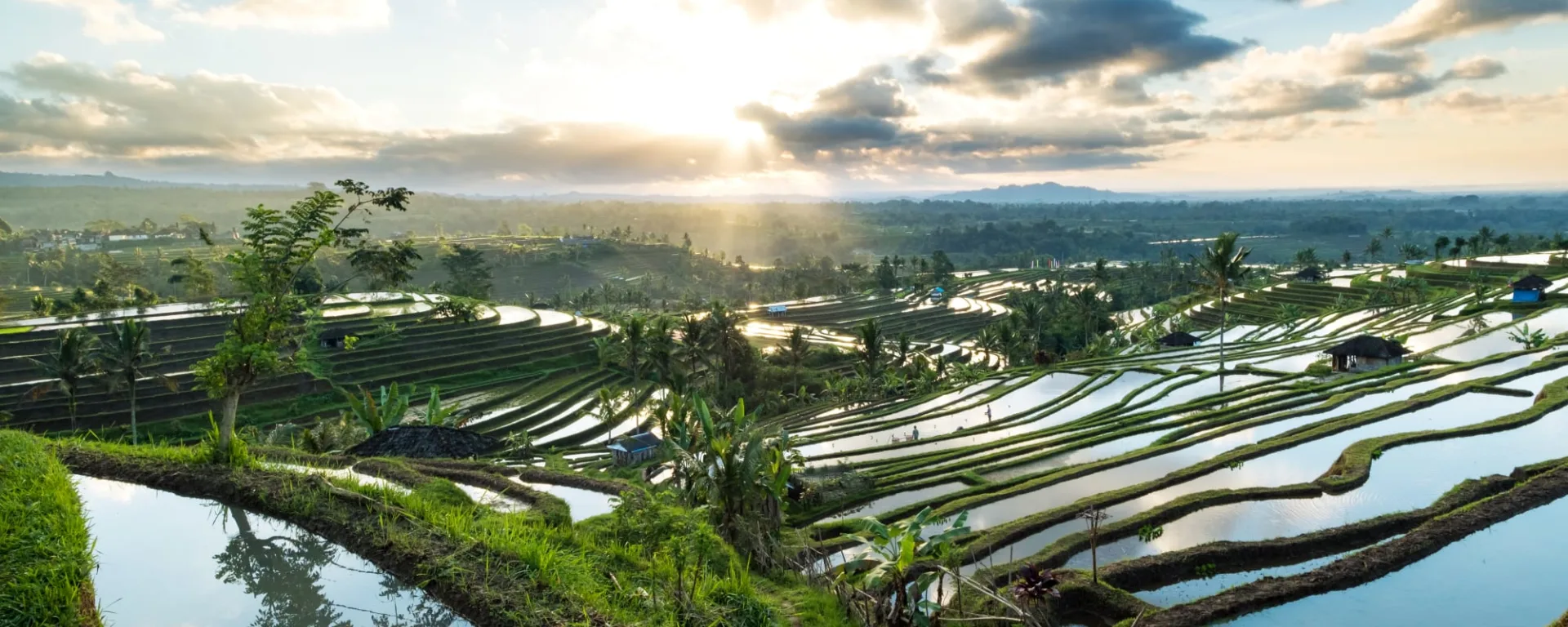 Ursprüngliches Bali, DE, Ganztägig in Süd-Bali: Indonesien Bali Reisterrassen Jatiluwih 