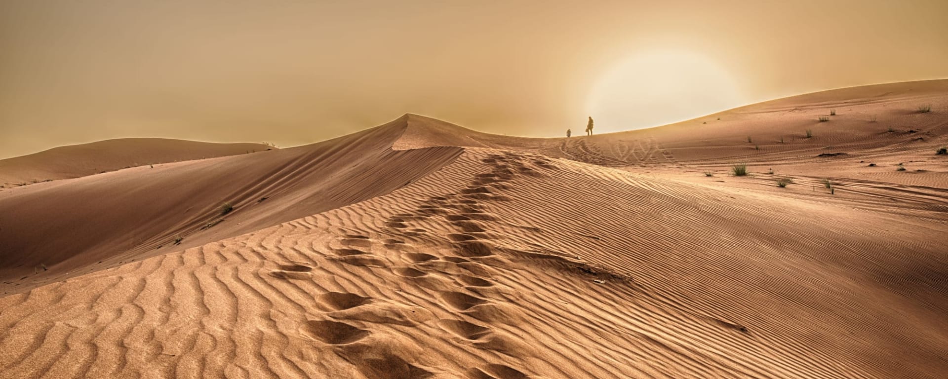 Wüstensafari Ras al Khaimah: VAE Ras al Khaimah Wüste