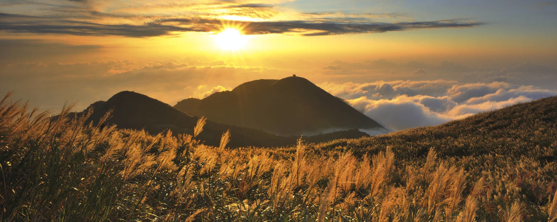 Soft Adventure Taiwan ab Taipei: Taiwan Taipei Yangmingshan Berge mit Silbergras