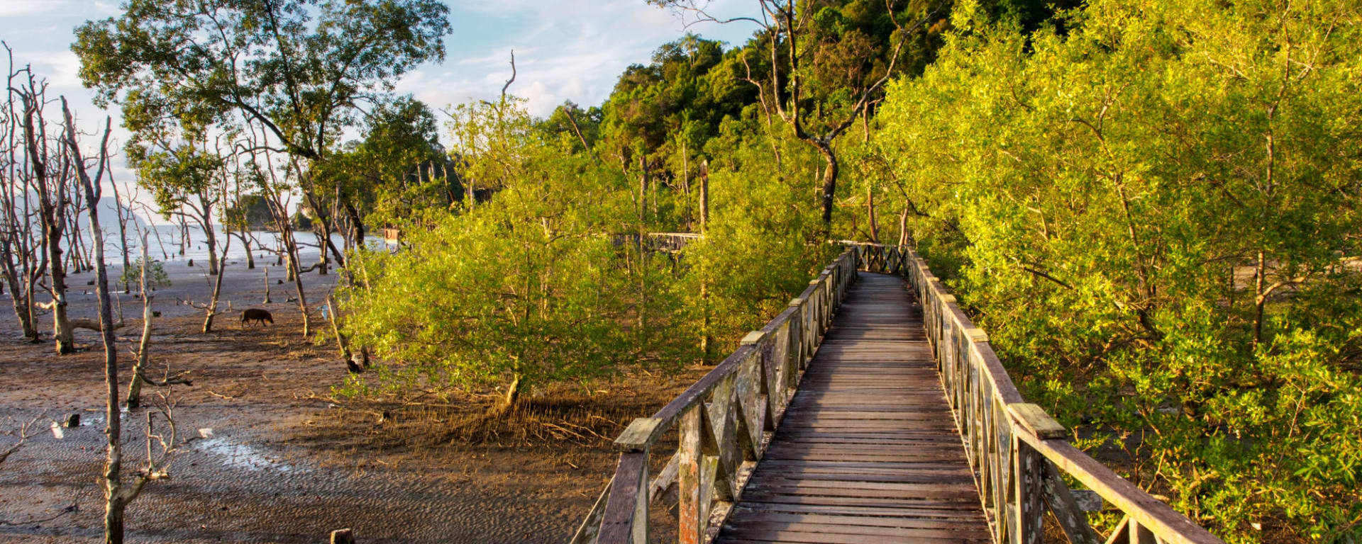 Natur Pur Sarawak ab Kuching: Borneo Sarawak Bako Nationalpark