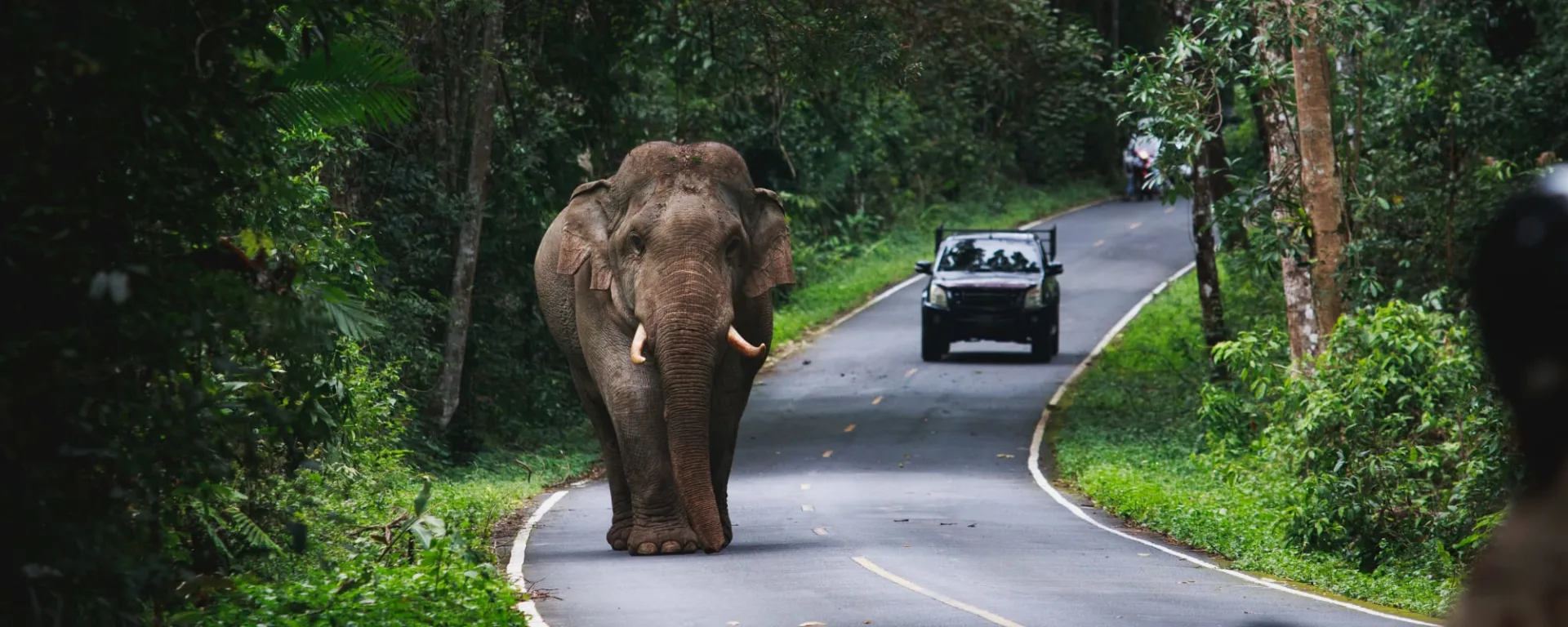 Khao Yai Nationalpark, DE, Ganztägig in Bangkok: Thailand Khao Yai Nationalpark