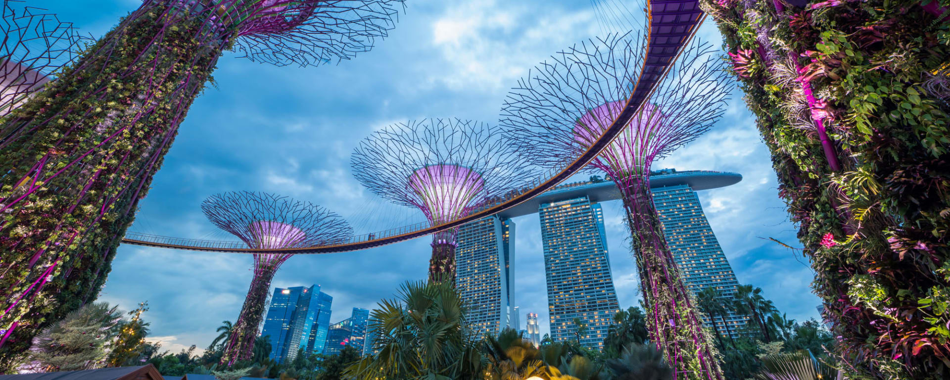 Gardens by the Bay, Halbtägig in Singapur: Singapur Gardens by the Bay