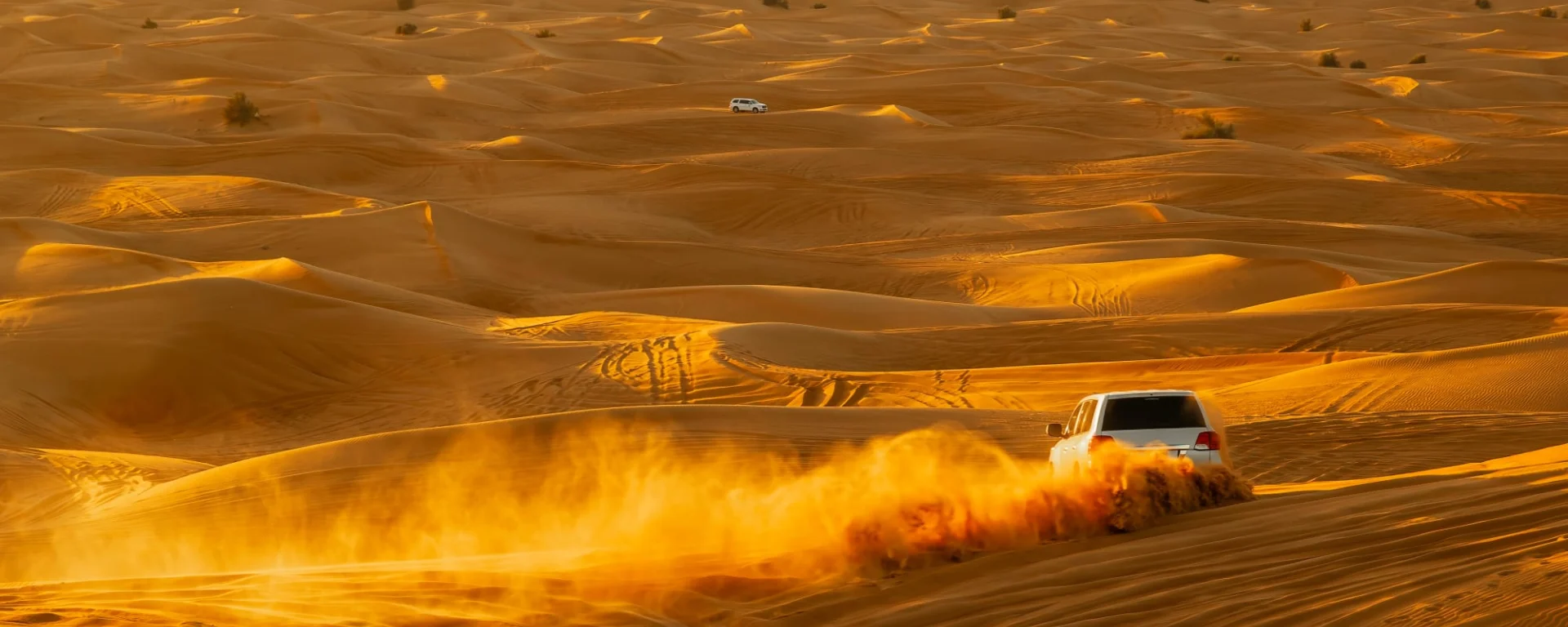 Expedition Wüste: Nord: Oman Rub al Khali Wüste Offroad