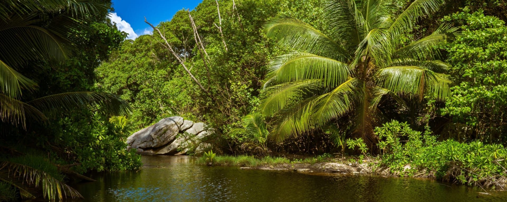 Peaks of Paradise in Mahé: Seychellen Mahe Natur