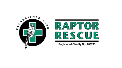 Deploying Business Central and Our Charity Accelerator for Raptor Rescue - Case Study