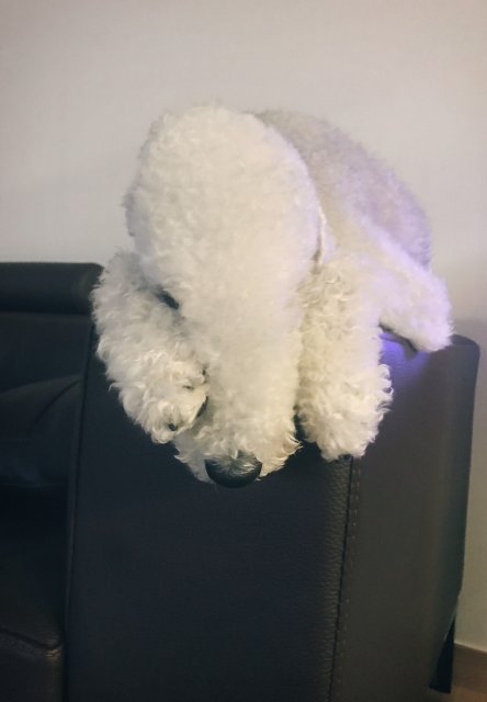 user profile image