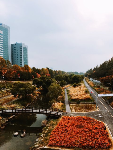 맛50년헛제사밥