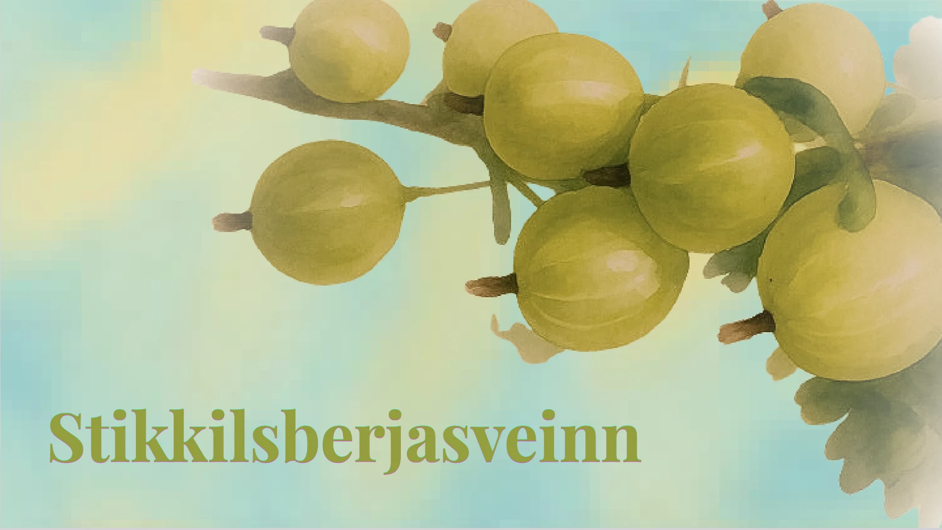 Stikkilsberjasveinn