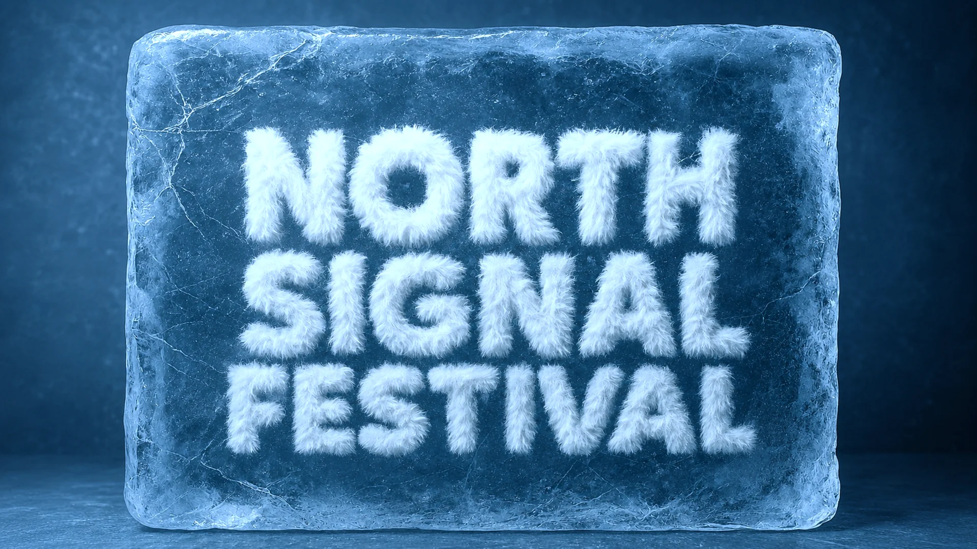 NORTH SIGNAL FESTIVAL