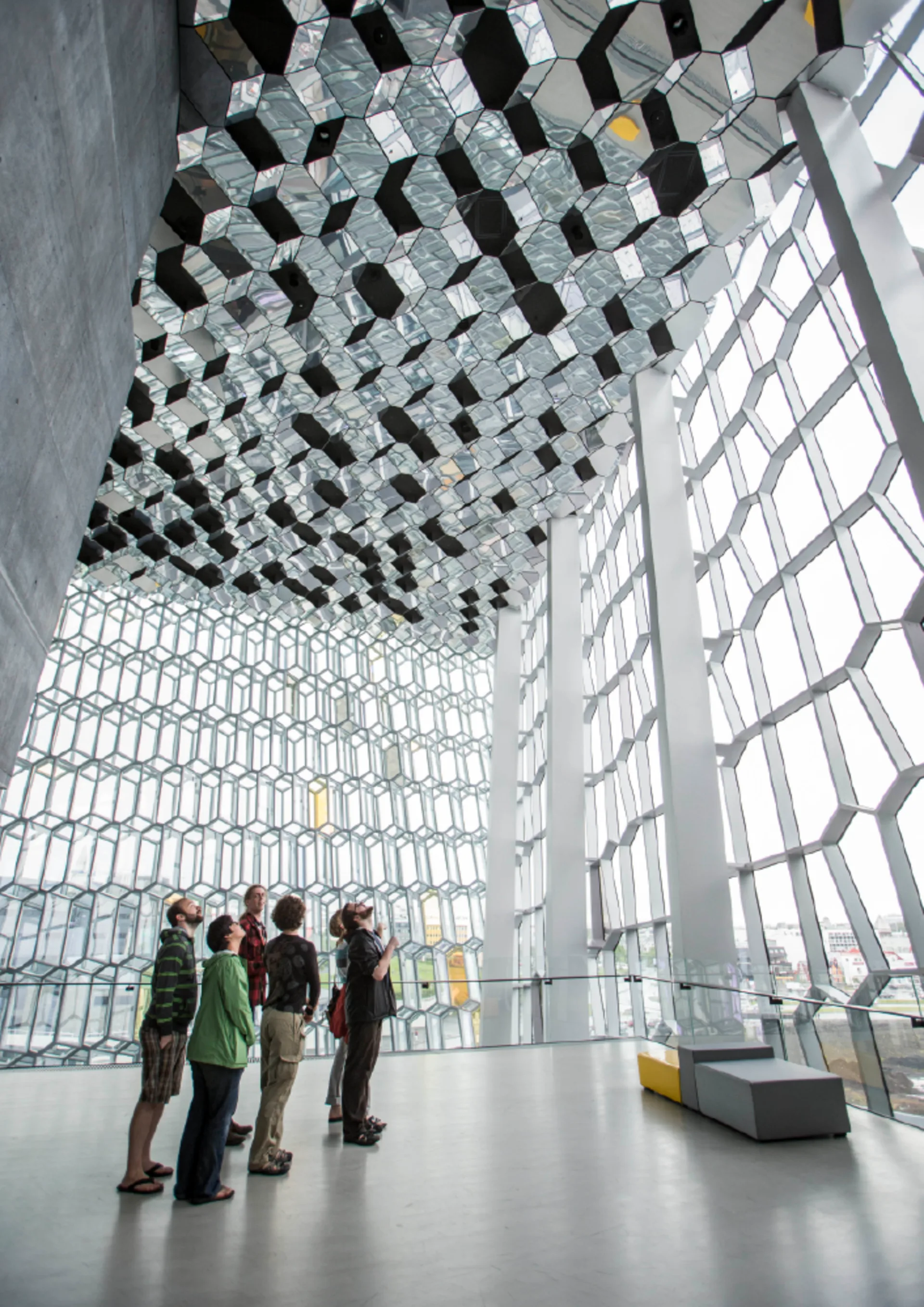 Harpa Guided Tour 2026
