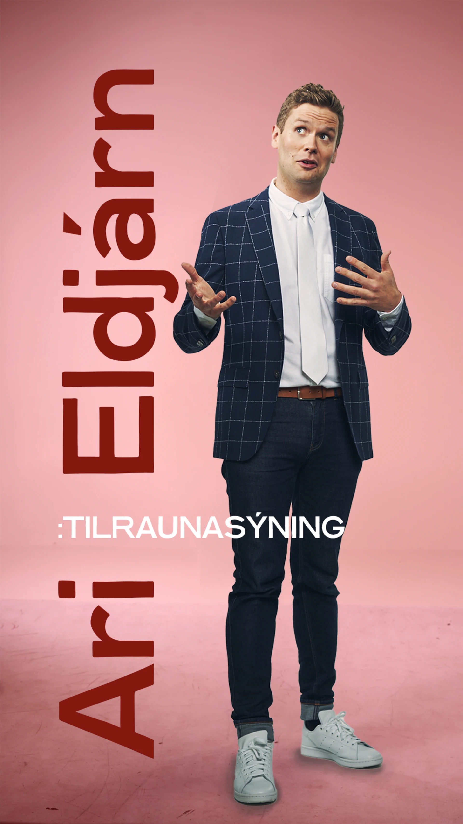 Ari Eldjárn í Leikskálum, Vík í Mýrdal