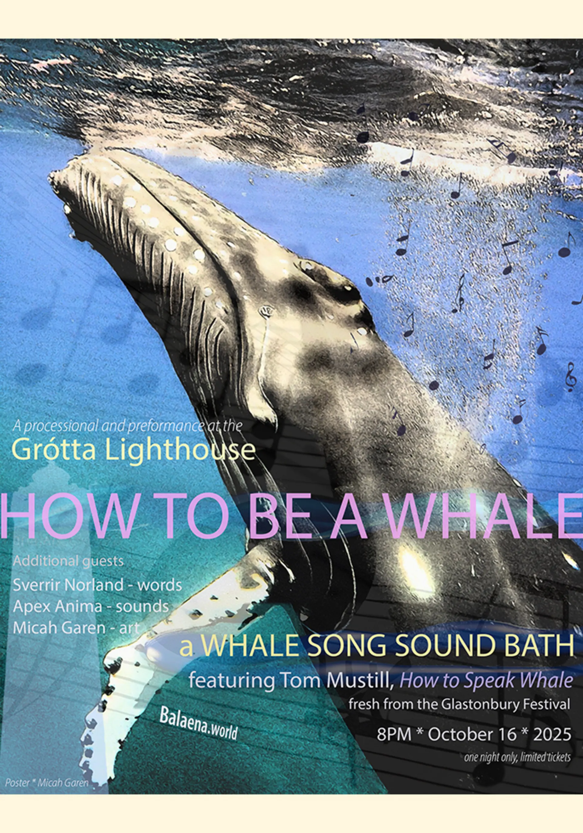 How to be a Whale