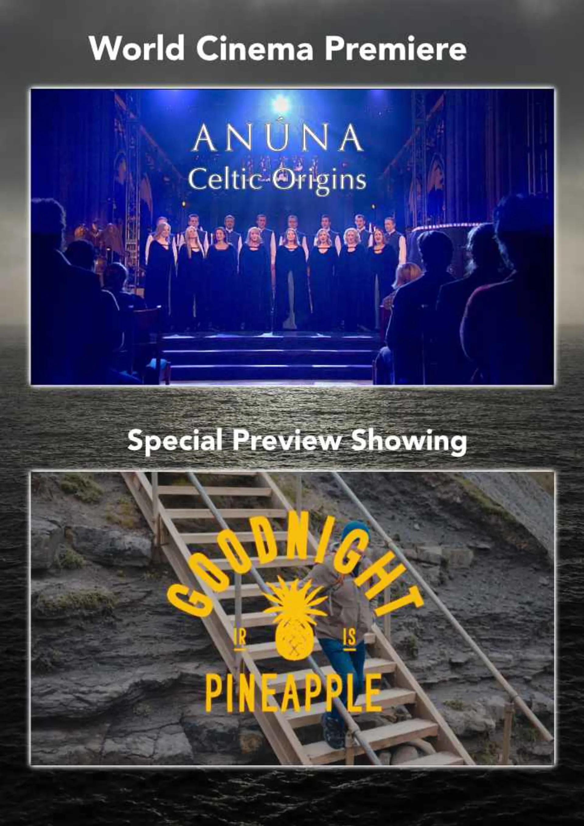 Ireland in Music and Film - A Free Evening at Bíó Paradís
