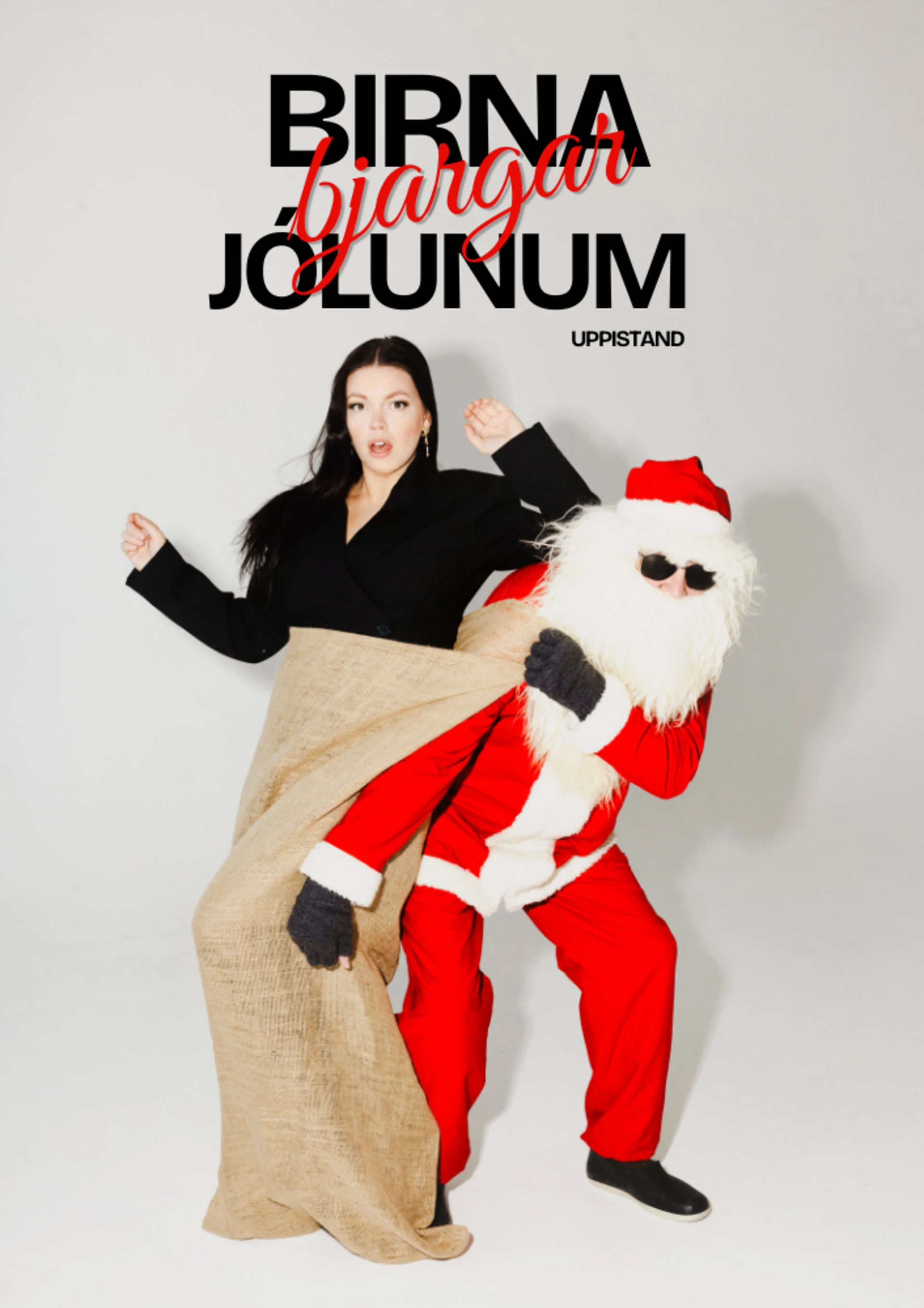 Birna bjargar jólunum