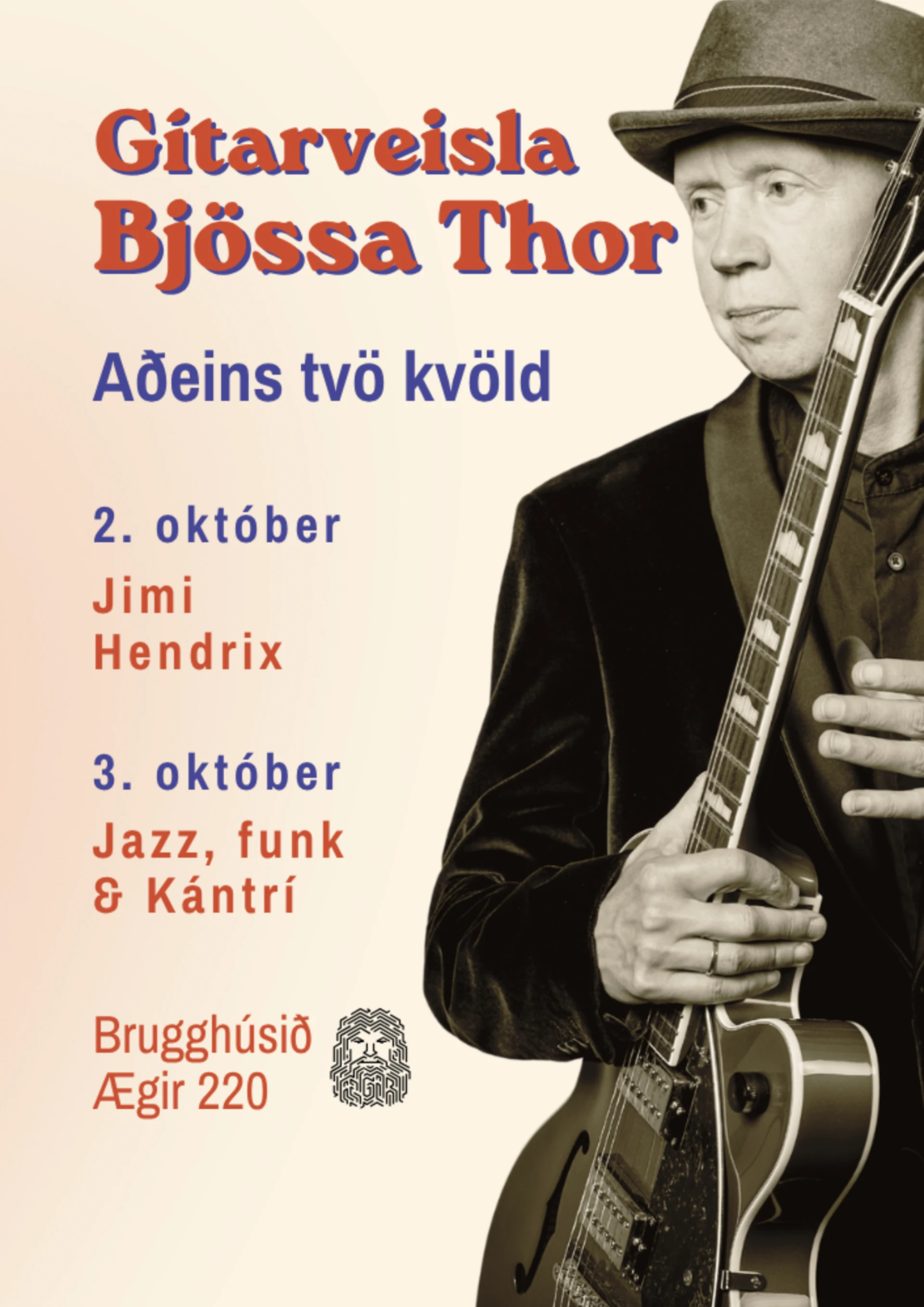 Björn Thoroddsen/Gítarveisla