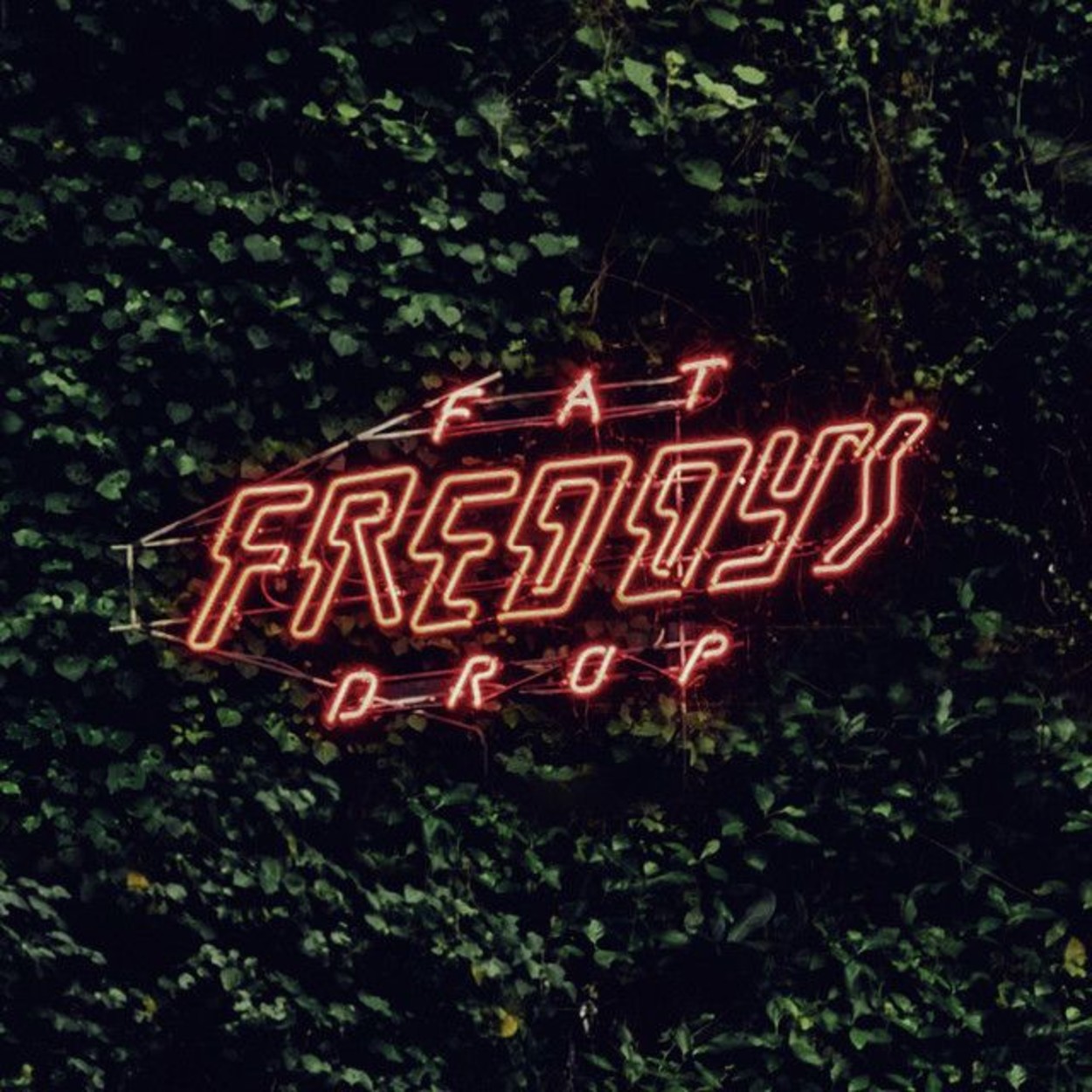 Fat Freddy's Drop
