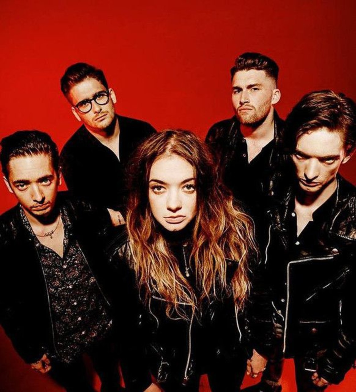 Marmozets