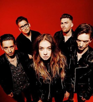 Marmozets