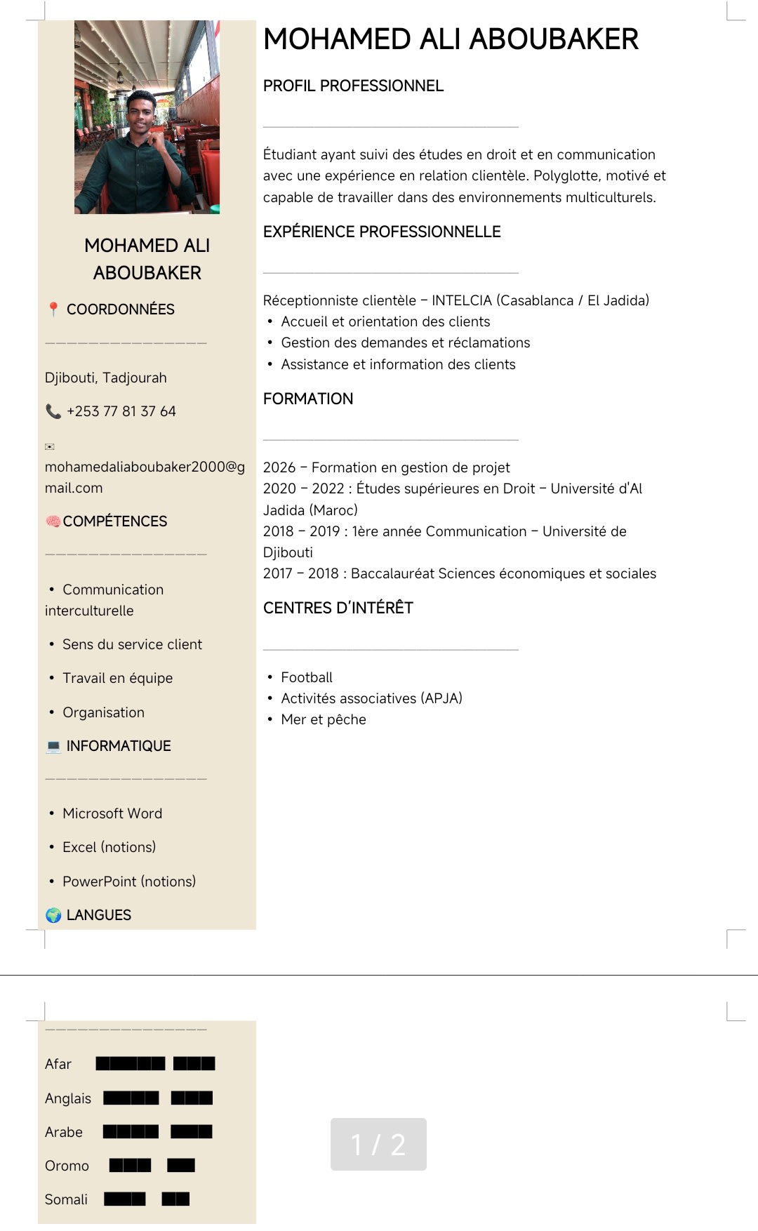 Jeune diplômé polyglotte cherche opportunité d'emploi