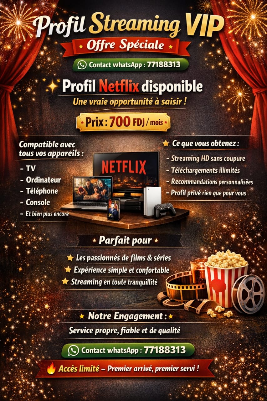 Profil Netflix VIP - Streaming HD illimité à petit prix