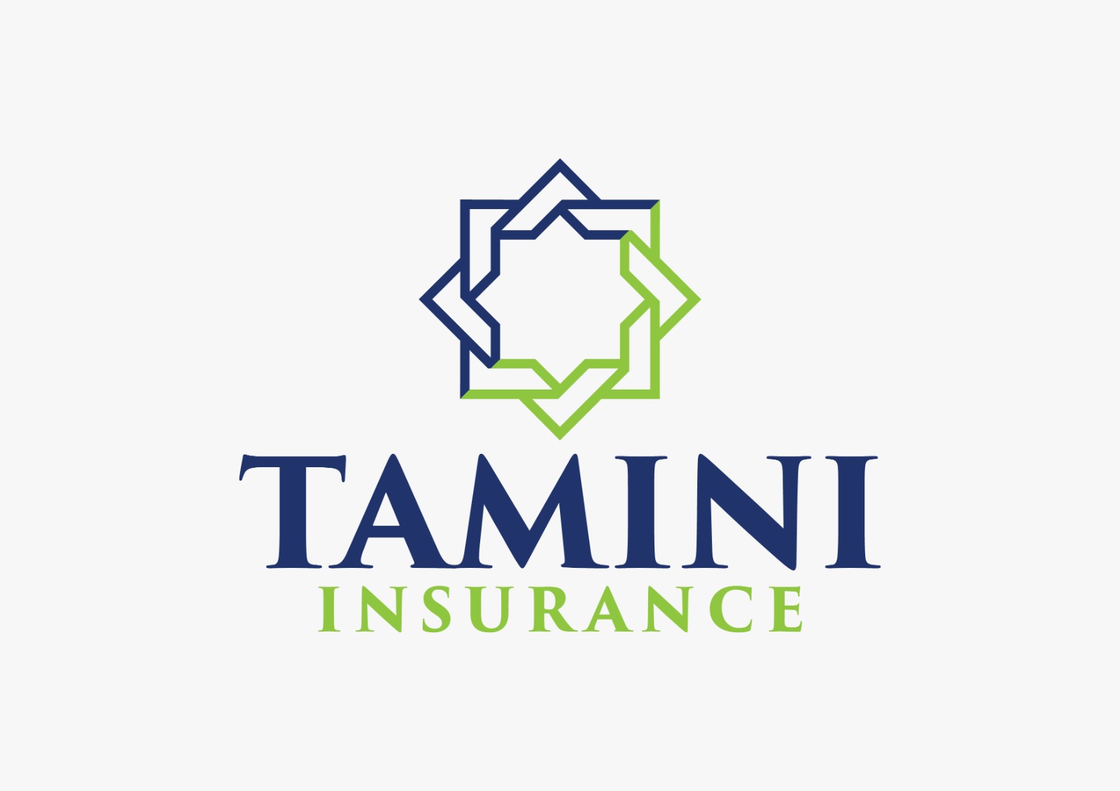 TAMINI INSURANCE