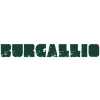 Burgallio-avatar