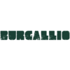 Burgallio-avatar