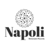 Ristorante Pizzeria Napoli-avatar