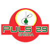 Puls 29-avatar