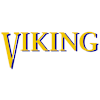 Viking-avatar