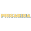 Pinsarina-avatar