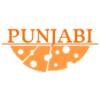 Punjabi Non Stop Pizza-avatar