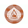 Pizza Anmol-avatar