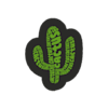 Cactus-avatar