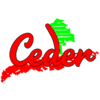 Ceder-avatar