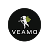 Veamo-avatar