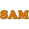 SAM-avatar