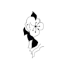 Blumen Komander-avatar